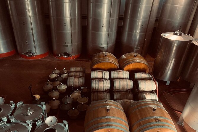 Premium Ischia Wine Tasting Experience with Transfer Included - Who This Tour Suits Best (and Who Might Skip It)