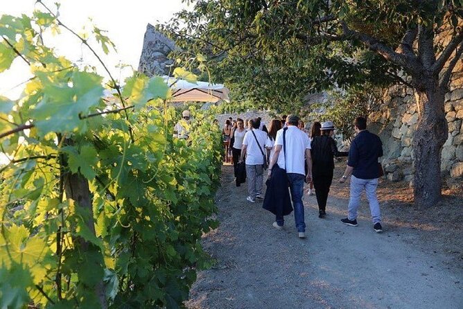 Premium Ischia Wine Tasting Experience with Transfer Included - Price and Value: Is $150.10 Worth It?