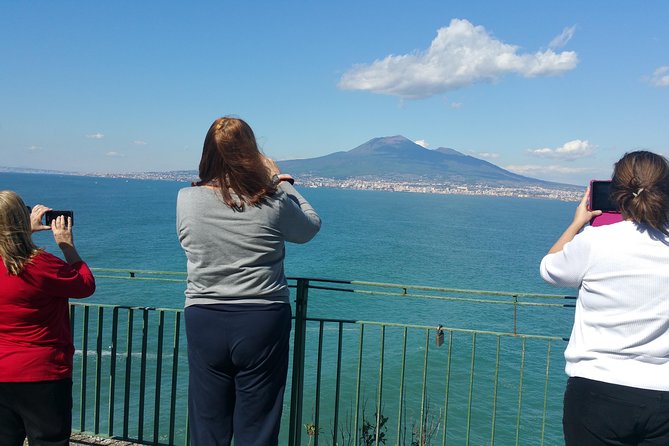 Private Amalfi coast tour and Sorrento coast up to 8 passengers - The driver experience: what “private” really feels like