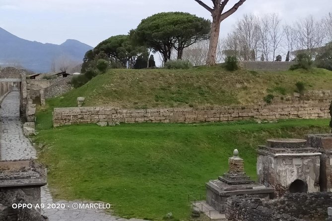 Private Archaeologist service to explore Pompeii's secrets any time ticket incl. - Stop 2, Casa del Fauno and the wide Dancing Faun home