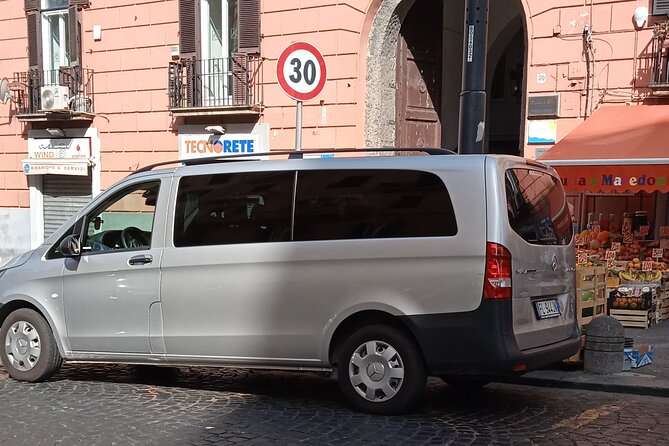 Private day tour: Pompei and Herculenium. - Time window and practical planning for your day