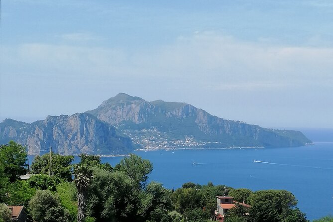 Private day tour: Pompei,Vesuvius and Herculaneum. - Who This Private Day Trip Is Best For