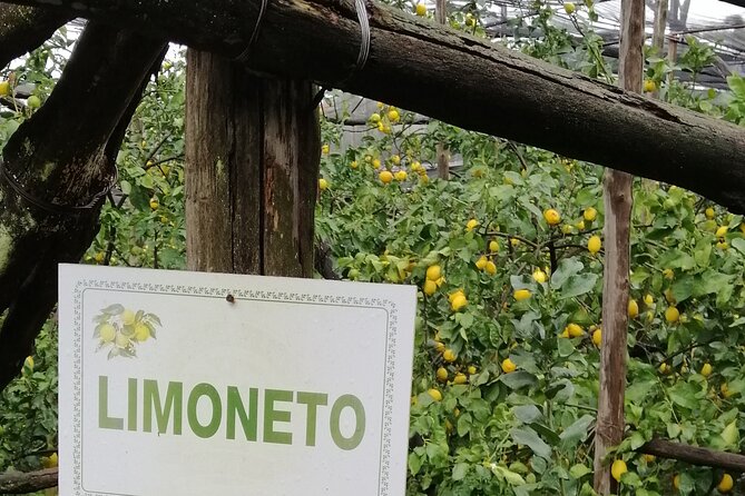 Private day tour: Pompeii, Sorrento and Positano. - Along the Amalfi Coast: photo stops that actually fit the route