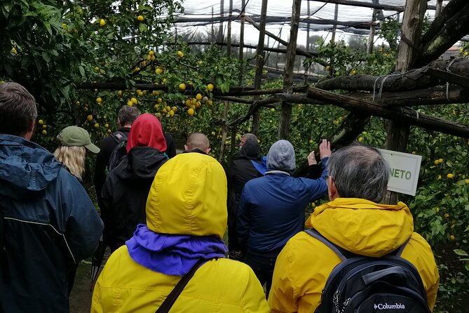 Private day tour: Sorrento, Positano, Amalfi and Ravello. - Price and Logistics: What You Pay For in a 7 to 8 Hour Day