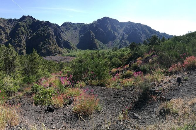 Private Day Tour to Vesuvius, Herculaneum & Pompeii with Pick Up - Herculaneum: smaller city, more clarity