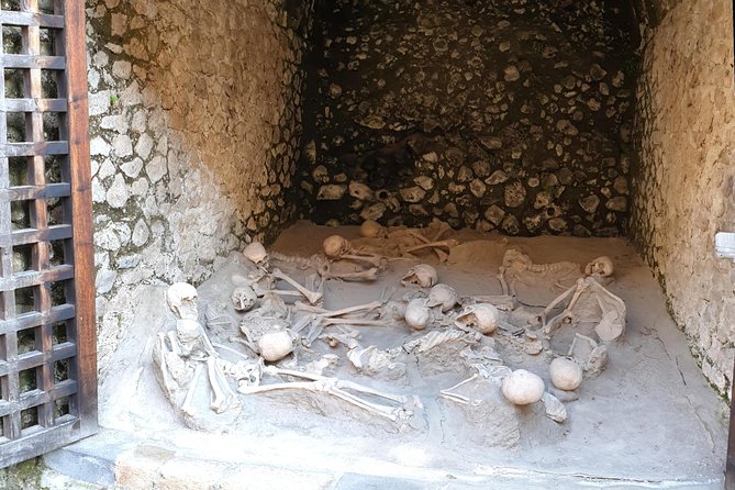 Private Day Tour to Vesuvius, Herculaneum & Pompeii with Pick Up - Who you might meet: guides and drivers that shape the day