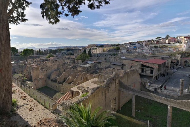 Private Day Tour to Vesuvius, Herculaneum & Pompeii with Pick Up - The pickup setup: start the day without stress