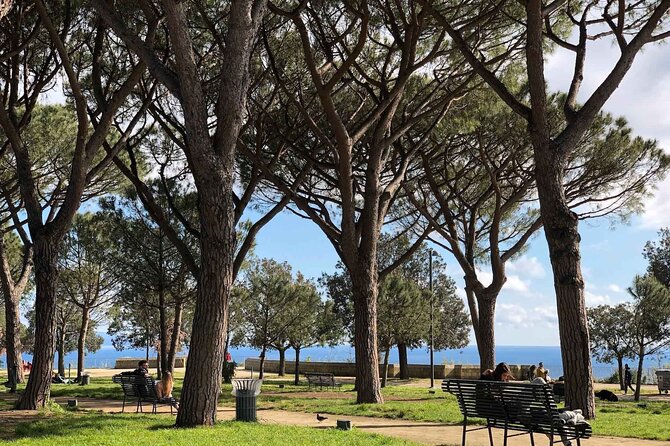 Private Guided Half Day Panoramic Tour in Naples - Naples by Scooter: Why This Route Works