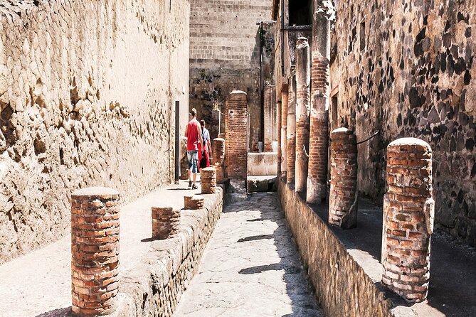 Private Guided Tour in Pompeii - Getting Back to Naples: Simple Drop-Off, No Extra Decisions