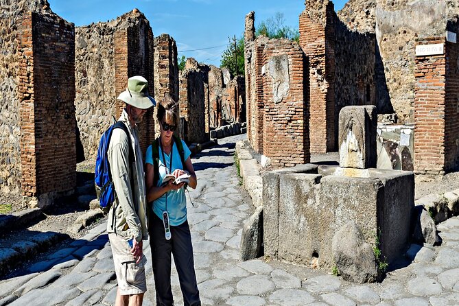 Private Guided Tour in Pompeii - Naples Pickup Options That Reduce Stress