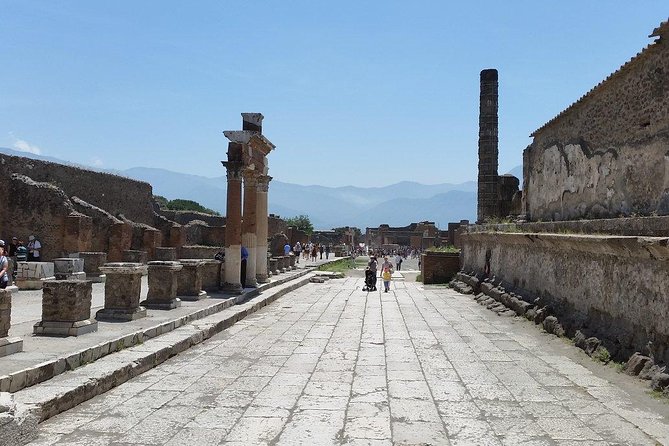 Private Guided Tour of Pompeii and Herculaneum - Getting the timing right: meeting points and a smooth start