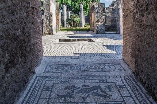 Private Guided Tour of Pompeii. Sunset Tour - Temples to close the loop: Venus and Jupiter at the Forum