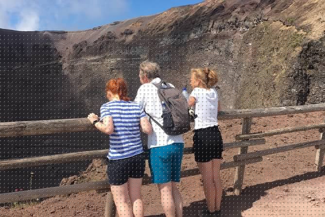 Private Half-Day Sightseeing Tour of Vesuvius National Park - Best Fit: Who This Private Transfer Suits