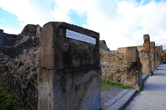 Private Half-Day Tour of The Pompeii Ruins Highlights and Mann - Why Pompeii ruins plus Naples museum is a winning combo