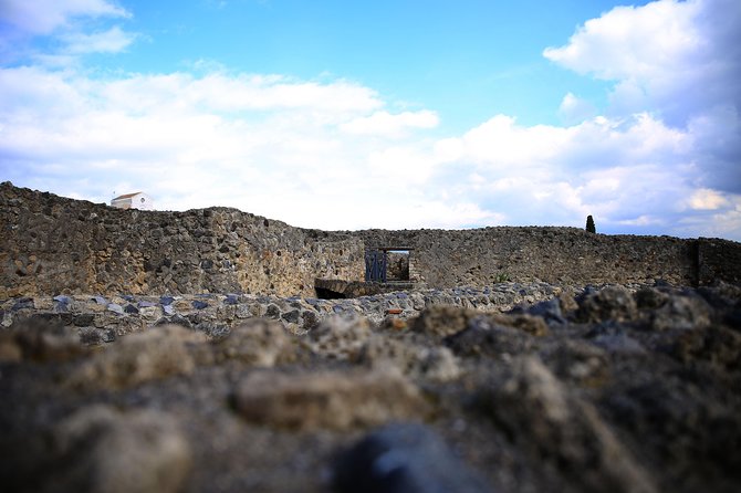 Private Half-Day Tour of The Pompeii Ruins Highlights and Mann - Lupanar option: you choose, and that helps the day fit you