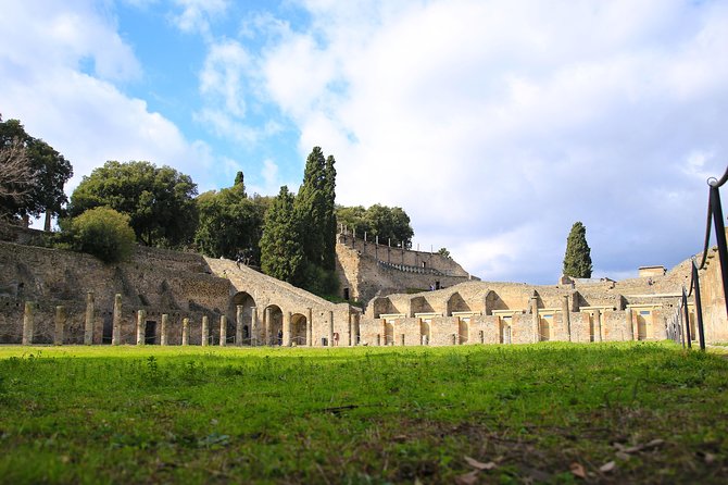 Private Half-Day Tour of The Pompeii Ruins Highlights and Mann - Forum of Pompeii: the city’s centerpiece in a focused block