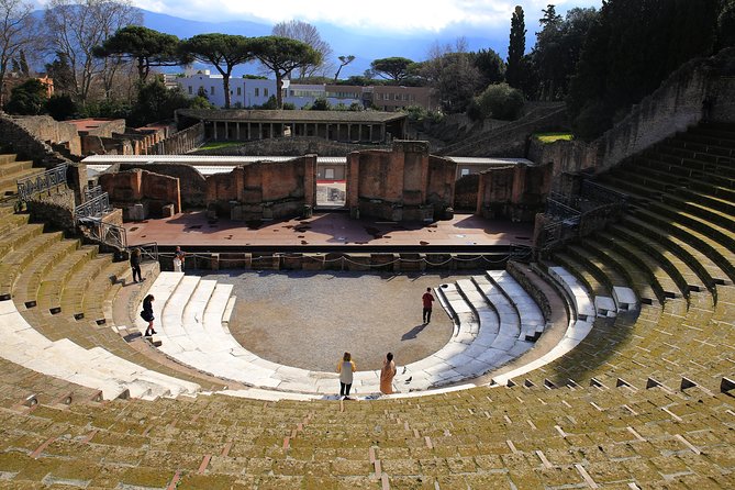 Private Half-Day Tour of The Pompeii Ruins Highlights and Mann - The private tour format, and what it means on the ground