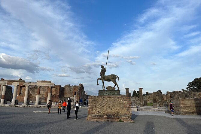 Private Half Day Tour to the Ruins of Pompeii - Optional Lunch and Vesuvius Wine Tasting: When Your Half Day Turns Into a Longer Day