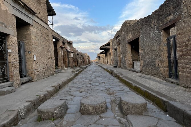 Private Half Day Tour to the Ruins of Pompeii - Price and Value Breakdown: Is This a Premium Transfer or a Smart Deal?