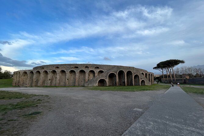 Private Half Day Tour to the Ruins of Pompeii - Who This Tour Suits Best (and Who Should Think Twice)