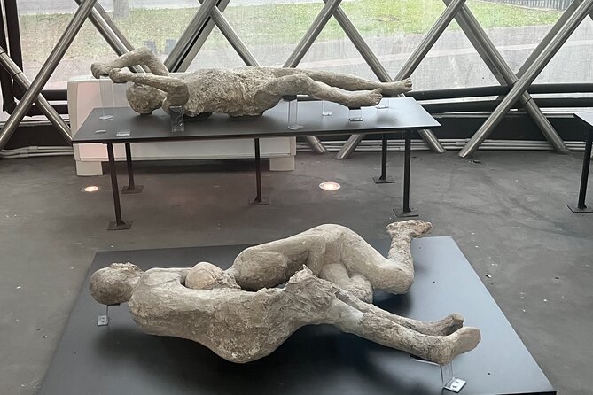 Private Half Day Tour to the Ruins of Pompeii - Should You Book This Private Half Day Pompeii Tour?