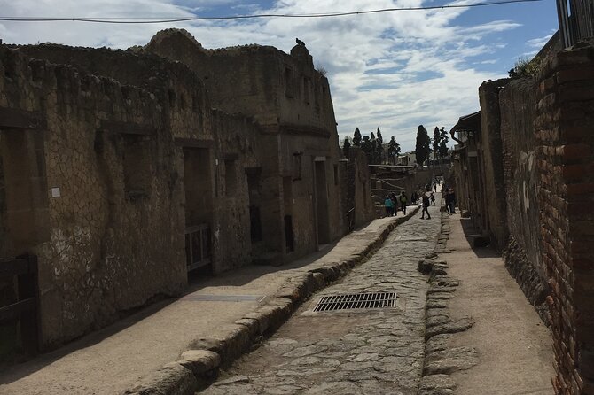 Private Herculaneum Tour for Kids and Families - Pacing and timing: how to keep little feet happy for 2 hours