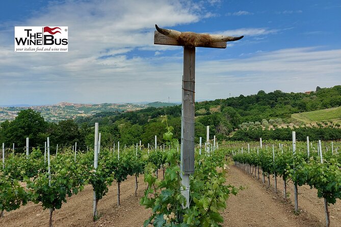 Private Irpinia Wine Tour from NAPLES with sommelier - Stop 2: Azienda Agricola Adelina Molettieri With a Different Producer Lens