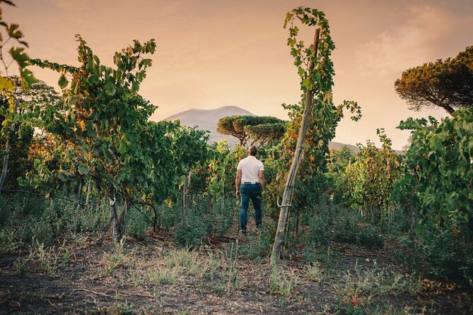 Private Natural Wine Vs Byodinamic and Organic Wine Tour - The tasting lunch: Ancestral method vs Charmat, plus farm-to-table pairing