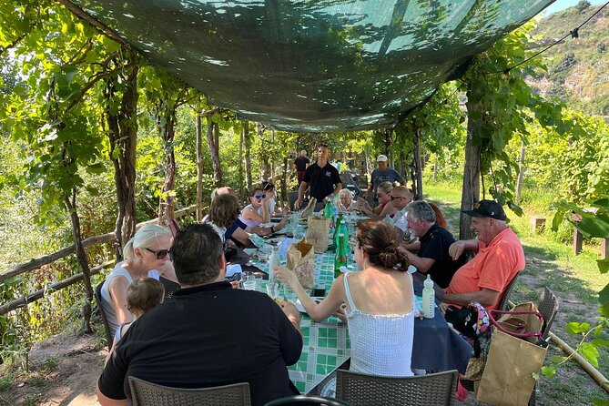 Private Natural Wine Vs Byodinamic and Organic Wine Tour - Wine Aroma Set: training your nose to catch good and bad