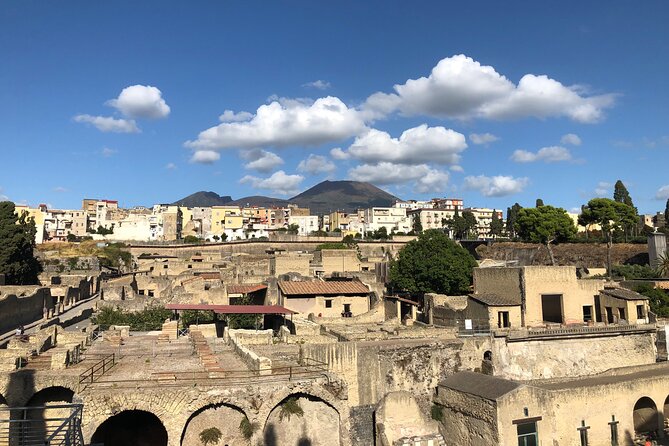 Private Pompeii and Herculaneum with Wine Tasting - Full Tickets - Herculaneum Compared to Pompeii: Domus Gardens, Mosaics, and the Beach Scene