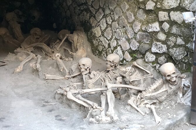 Private Pompeii and Herculaneum with Wine Tasting - Full Tickets - Skip the Lines in Pompeii: Forum, Homes, Baths, Taverns, and Casts