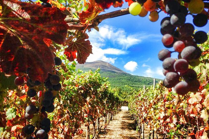 Private Pompeii and Vesuvius with Wine Tasting and Full Tickets - Pacing, Comfort, and Who This Private Day Fits Best