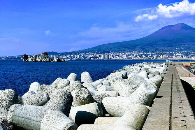 Private Pompeii Herculaneum and Vesuvius Full-Day Shore Excursion - Family-friendly, but with real walking