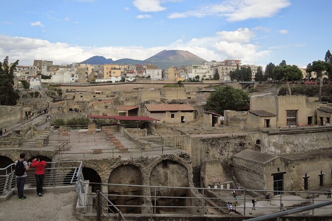 Private Pompeii, Herculaneum and Winery Tour from Naples - From Naples pickup to timed entry reality: how the day flows