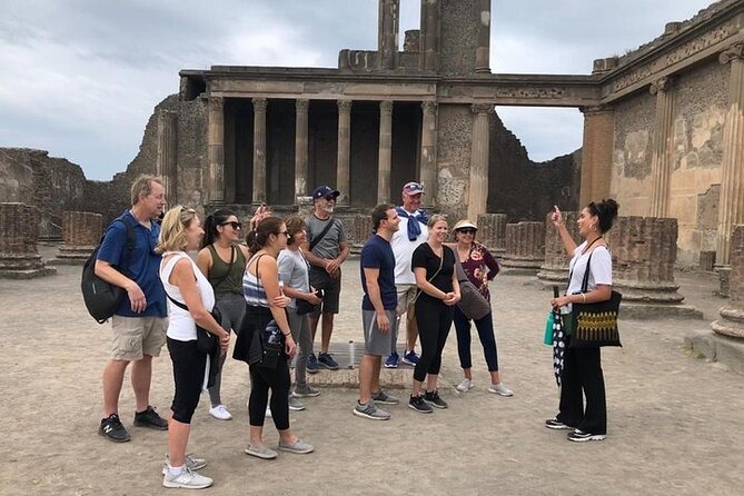Private Pompeii, Herculaneum and Winery Tour from Naples - AC comfort and driver-led commentary, with one key limitation
