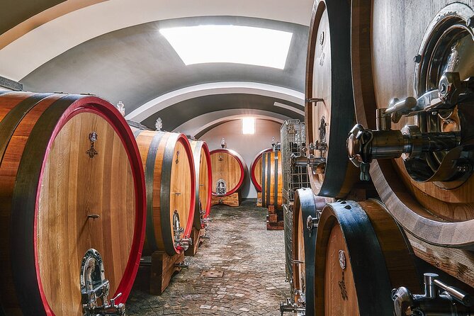 Private Pompeii, Herculaneum and Winery Tour from Naples - Pompeii Archaeological Park: what you’ll actually see in your 2 hours