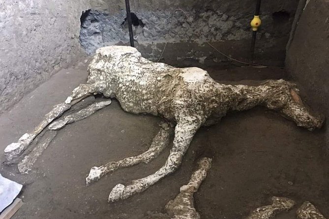 Private Pompeii Tour With Guide and Transfer Included - Tickets, pickup options, and what is actually included