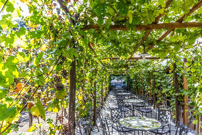 Private Pompeii Tour with Organic Wine Tasting & Lunch - Meeting at Porta Marina: why that matters for Pompeii timing