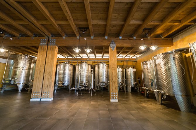 Private Pompeii Tour with Organic Wine Tasting & Lunch - Bosco de Medici Winery: vineyards, cellar, and organic tastings