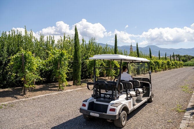 Private Pompeii Tour with Organic Wine Tasting & Lunch - Price at $217.22 per person: the value math that matters