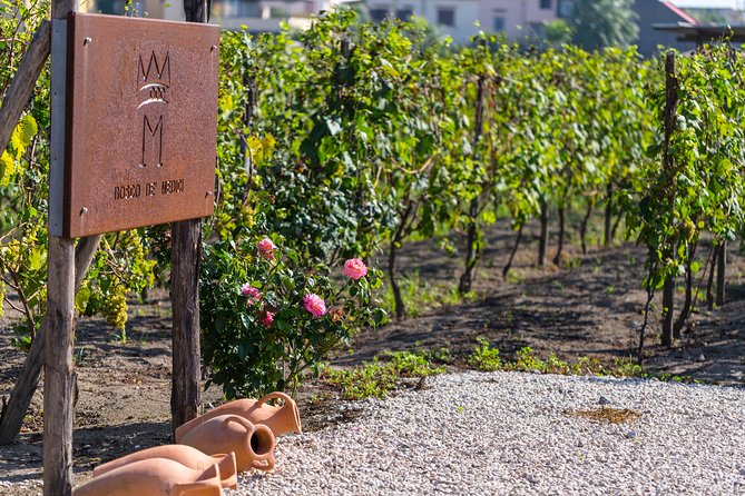 Private Pompeii Tour with Organic Wine Tasting & Lunch - Pompeii in about 2 hours: what you should expect to see