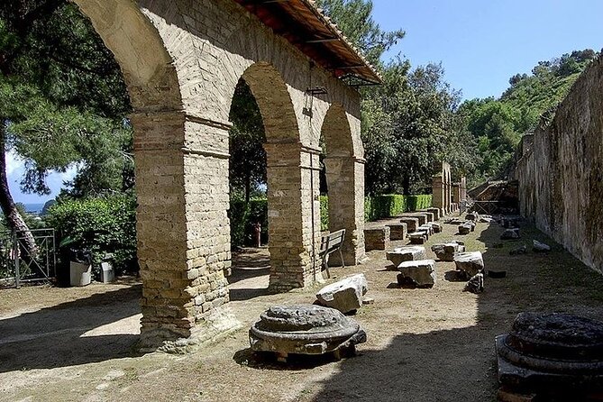 Private Tour from Naples to Phlegrean Fields, Pozzuoli, and Cuma - When your driver becomes the extra value