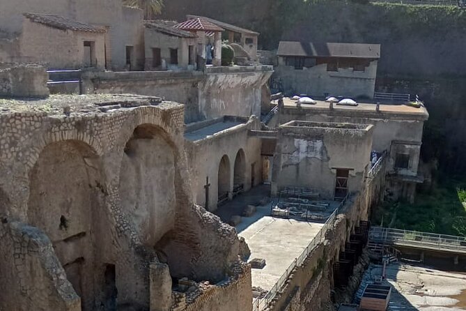 Private Tour in Herculaneum with an authorized guide - Who this tour is best for