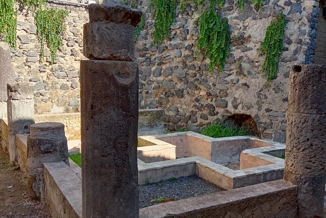 Private Tour in Herculaneum with an authorized guide - The Ercolano Scavi visit: what your 90 to 120 minutes can cover