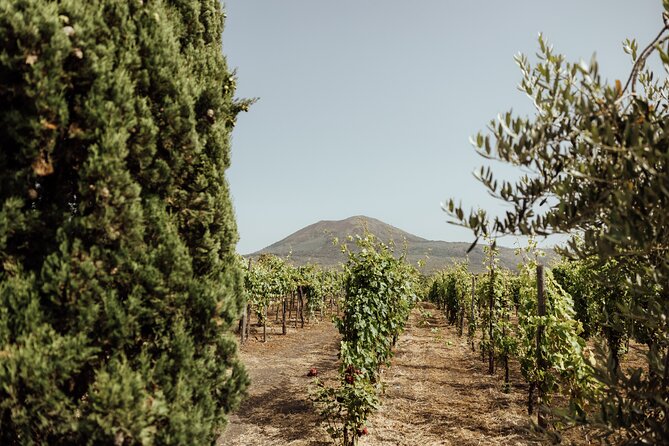 Private Tour in Pompeii and Vesuvius - Timing, Heat, and Packing Like a Local