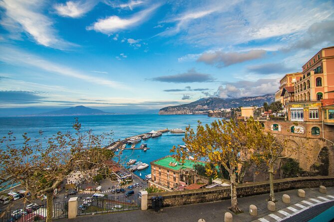 Private Tour in Pompeii Sorrento and Positano - Pompeii Archaeological Park: the two hours that can change your whole day