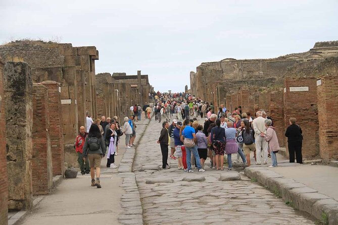 Private Tour of Pompeii, Herculaneum and Vesuvius from Naples - Naples to Pompeii, Herculaneum, and Vesuvius, all in one day