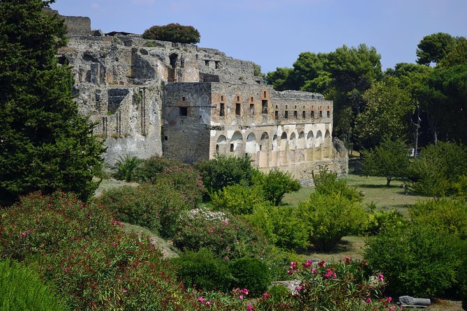 Private Tour: Pompeii Half-Day Trip from Naples - Temple of Apollo, the market (Macellum), and public weighing scales