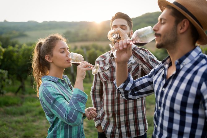 Private Tour: Pompeii & Wine Tasting at the Slopes of Mt Vesuvius - Wine Tasting Details and What’s Included in Your Pour
