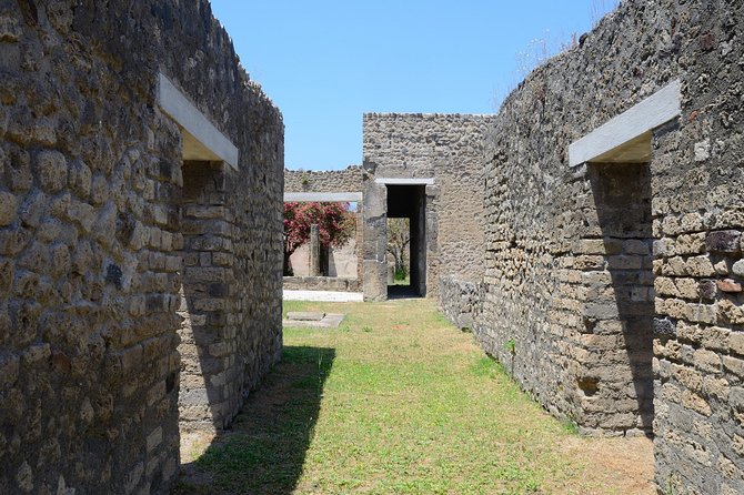 Private Tour Rome to Pompeii in private vehicle or fast train - Your Pompeii route: park time, then three tightly timed stops